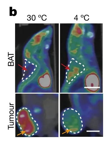 中银两融 别舍不得开空调！记住这5点，空调既省电又舒服_大皖新闻 | 安徽网