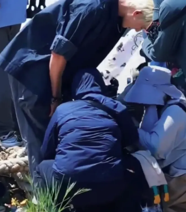 东信证券 演员李昀锐突发意外受伤！本人回应_大皖新闻 | 安徽网