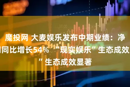 魔投网 大麦娱乐发布中期业绩：净利润同比增长54%  “现实娱乐”生态成效显著